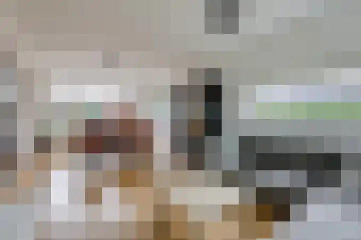 Violenstraat 2 Didam thumbnail 25