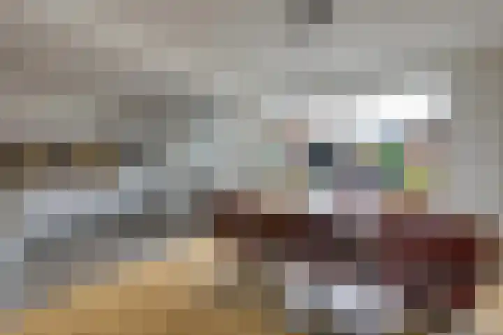 Violenstraat 2 Didam thumbnail 27
