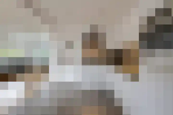 Violenstraat 2 Didam thumbnail 30