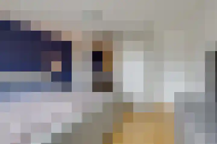 Violenstraat 2 Didam thumbnail 35