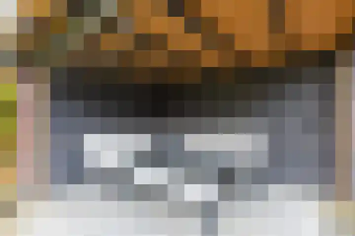 Violenstraat 2 Didam thumbnail 50
