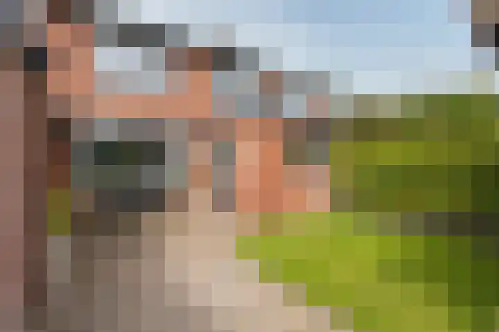Violenstraat 2 Didam thumbnail 52