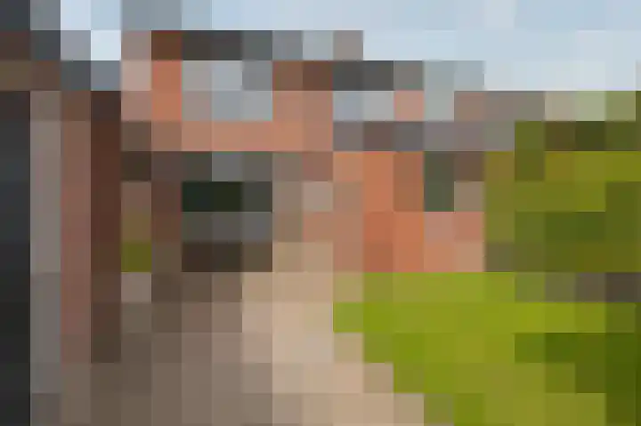 Violenstraat 2 Didam thumbnail 6