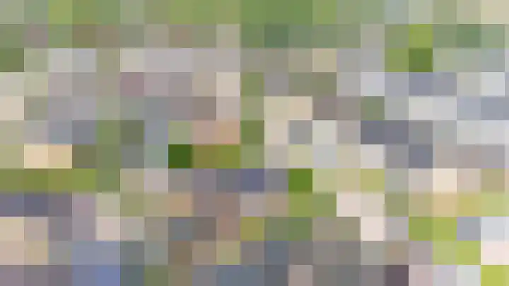 Violenstraat 2 Didam thumbnail 7