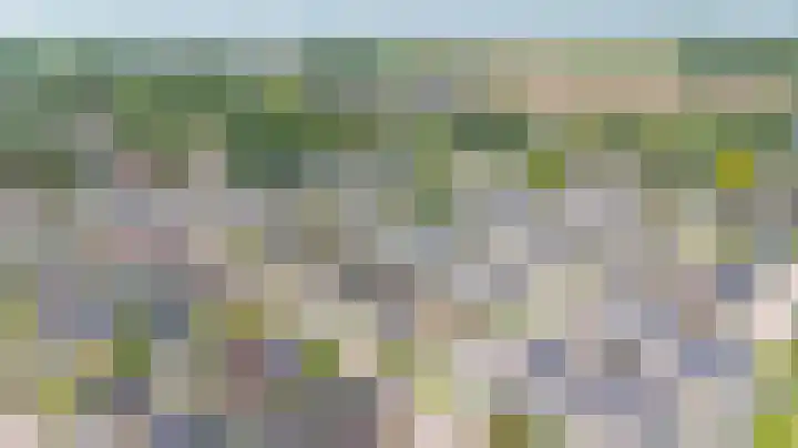 Violenstraat 2 Didam thumbnail 8