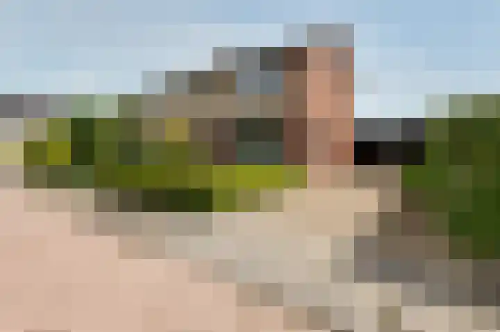 Violenstraat 2 Didam thumbnail 9