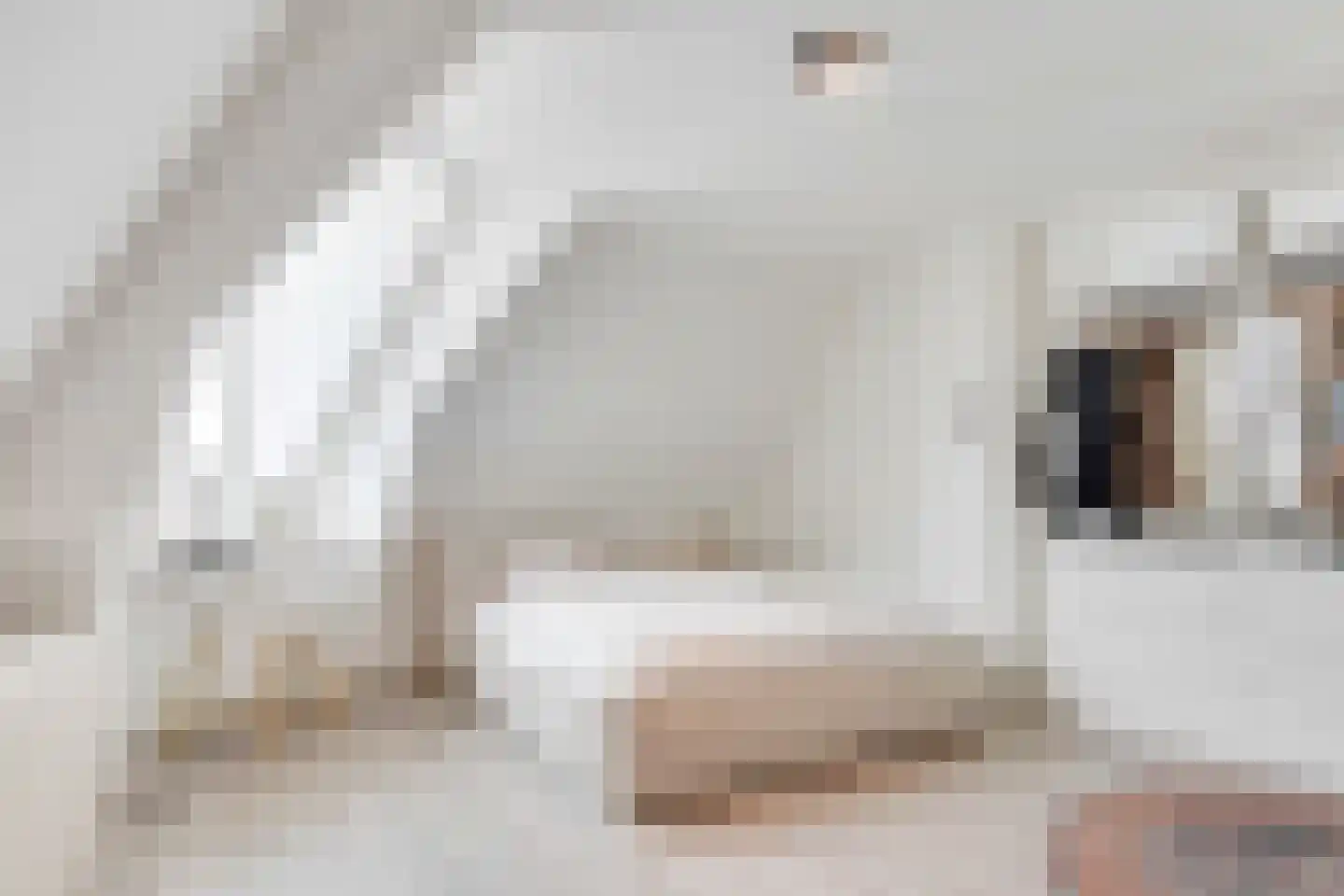 Violenstraat 2 Utrecht thumbnail 25