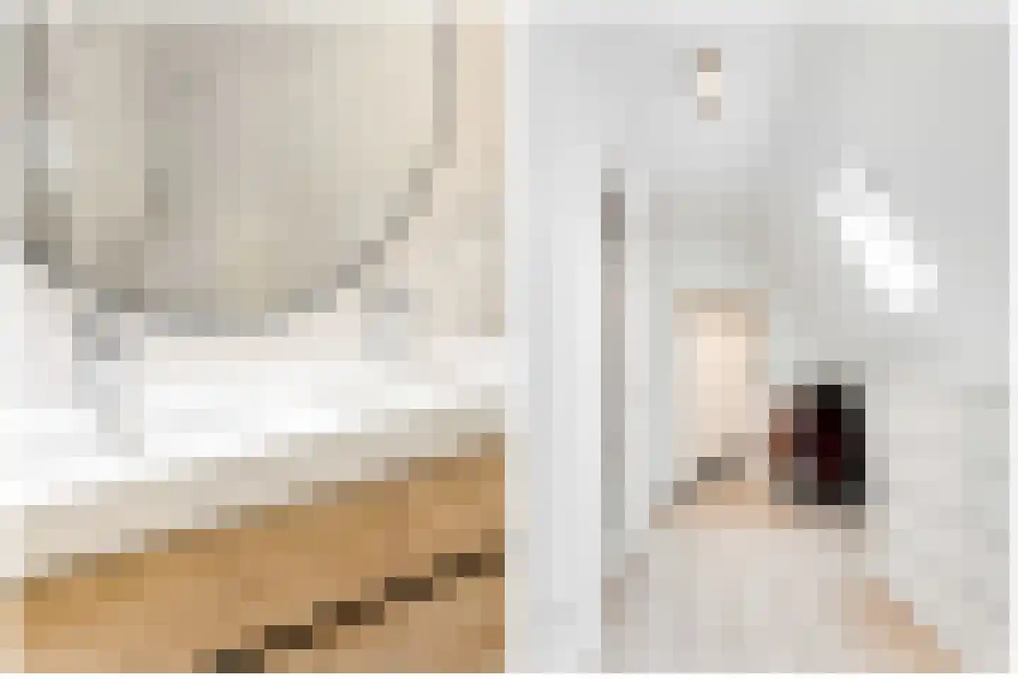 Violenstraat 2 Utrecht thumbnail 30