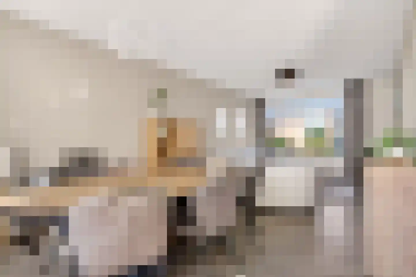 Violenstraat 20 Beilen thumbnail 15