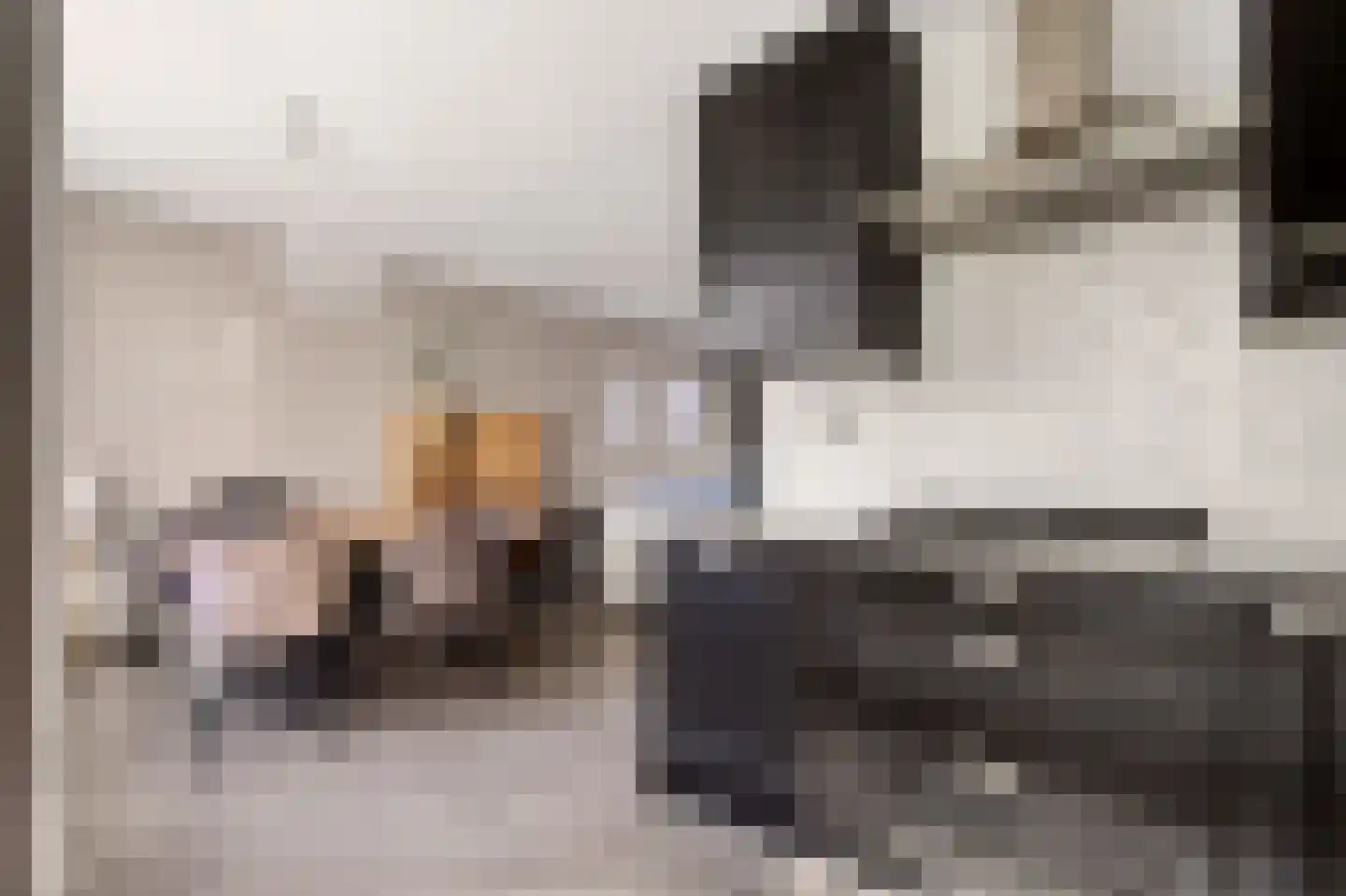Violenstraat 20 Beilen thumbnail 17