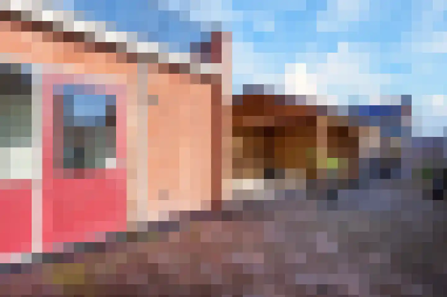 Violenstraat 20 Beilen thumbnail 35