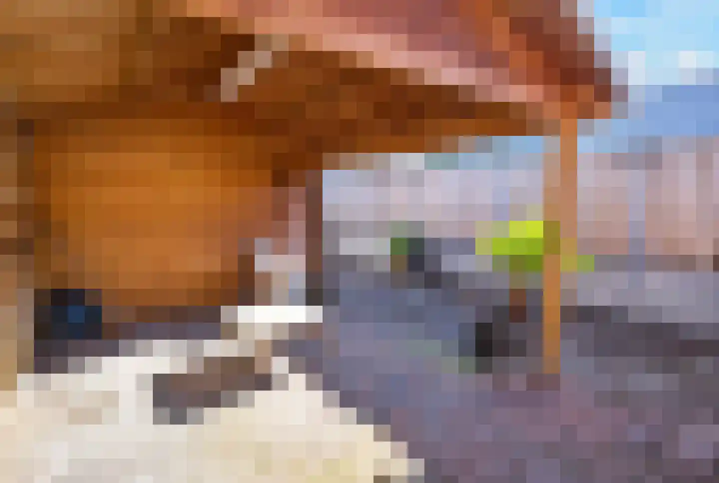 Violenstraat 20 Beilen thumbnail 36