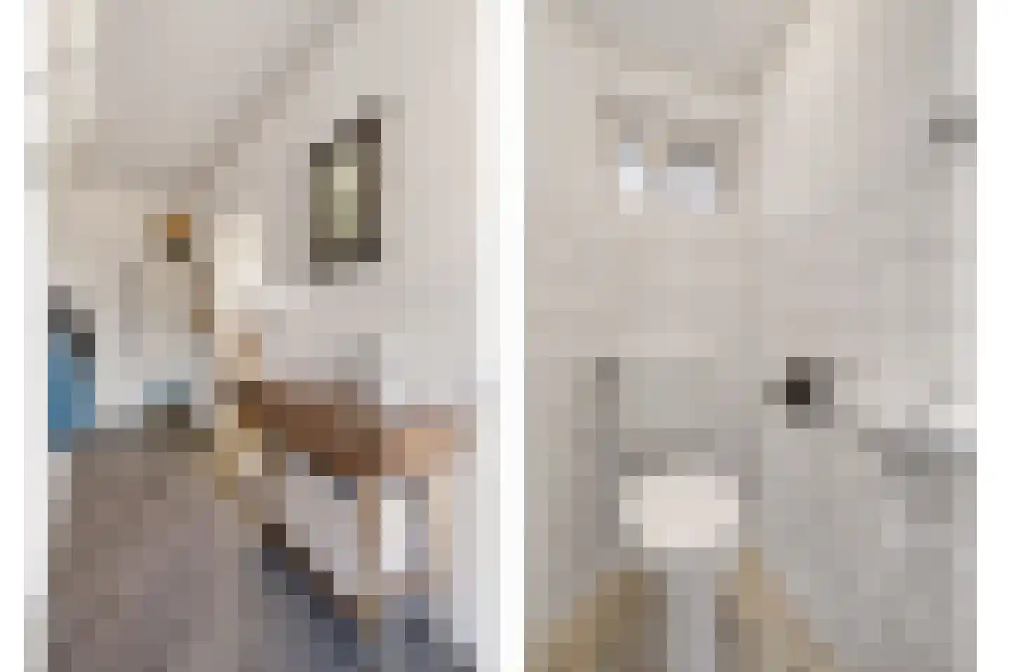 Violenstraat 20 Beilen thumbnail 6