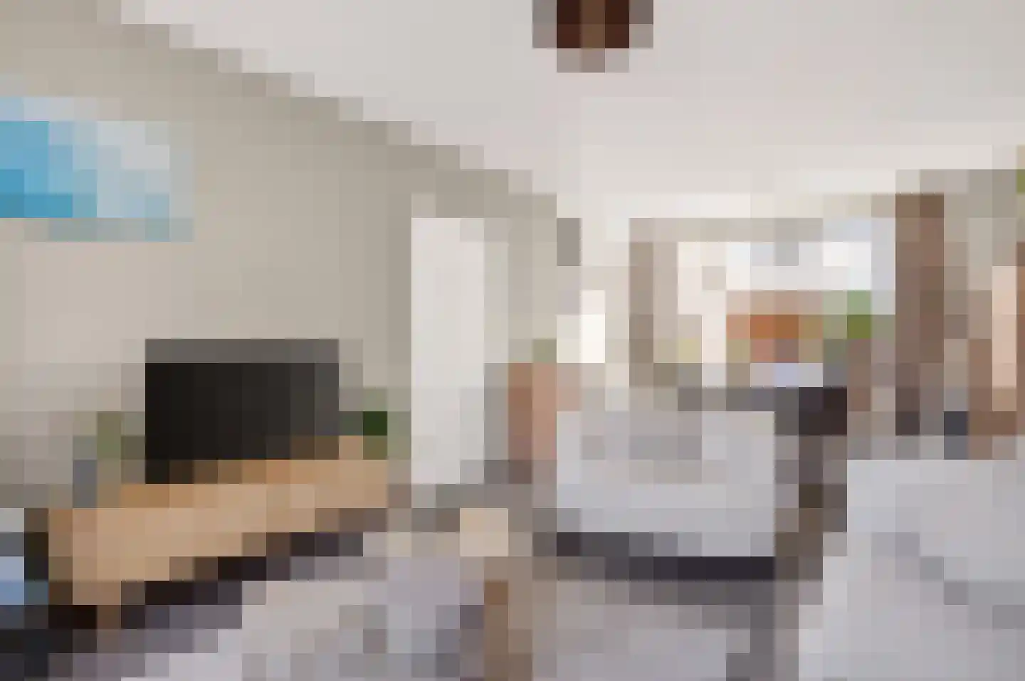 Violenstraat 20 Beilen thumbnail 9