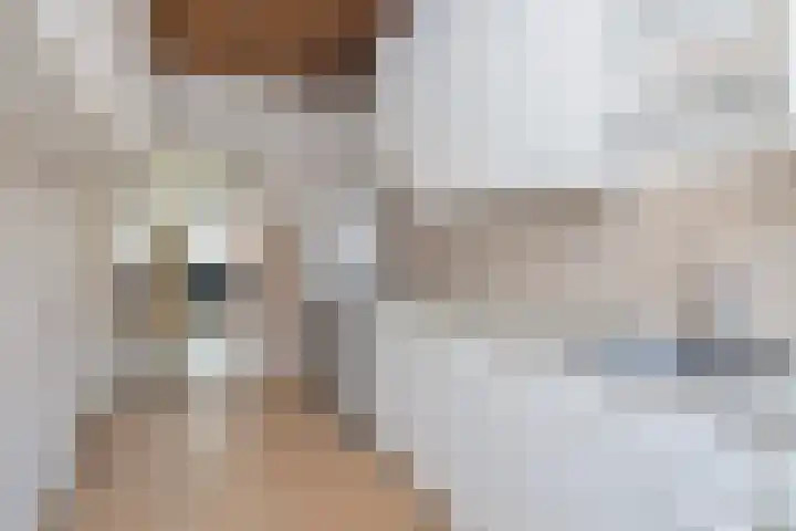 Violenstraat 20 Enkhuizen thumbnail 17