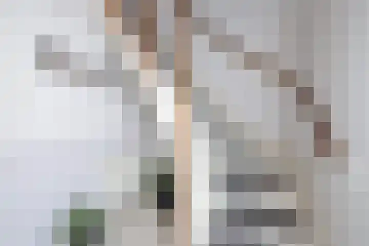 Violenstraat 20 Enkhuizen thumbnail 8