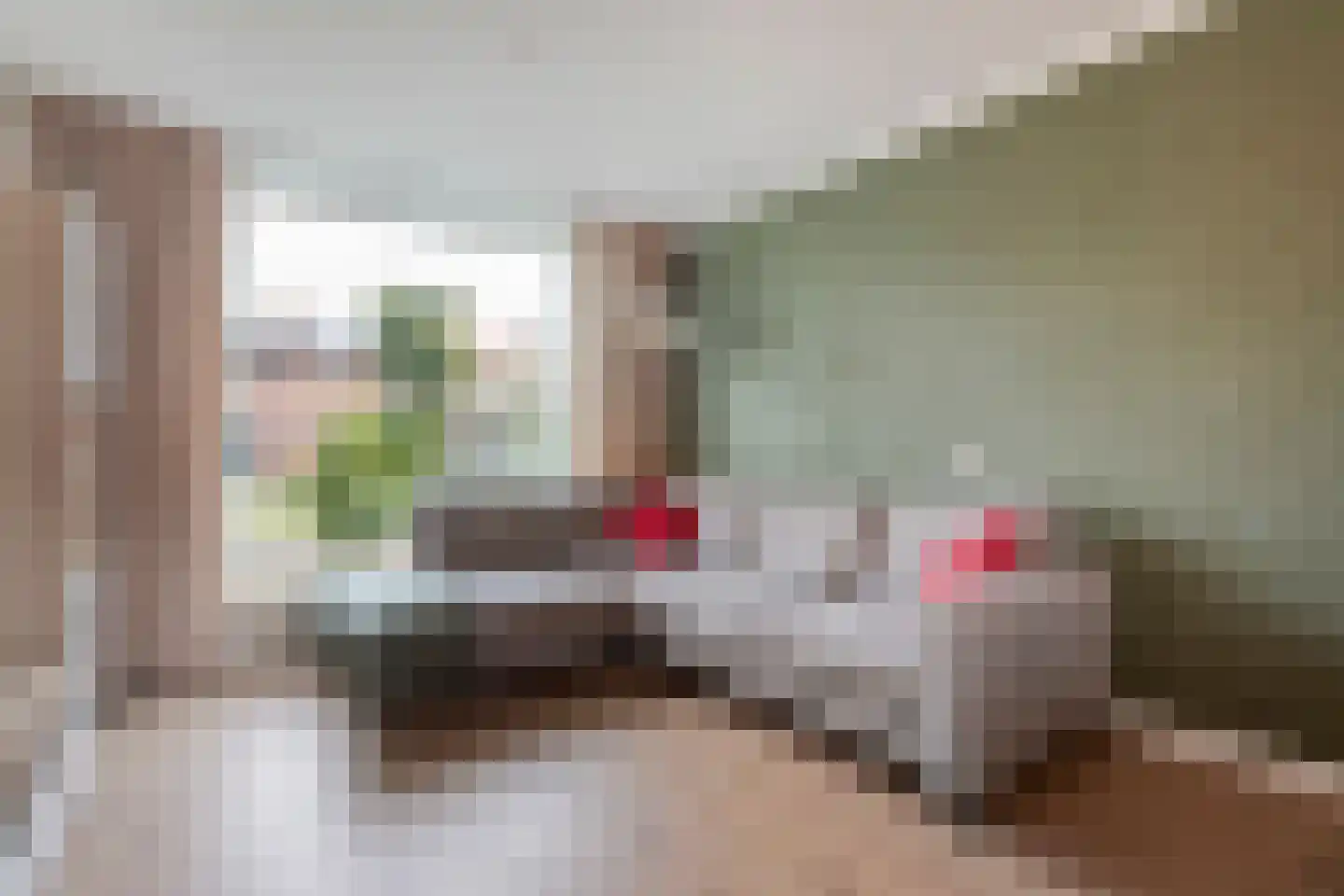 Violenstraat 20 Meppel thumbnail 15