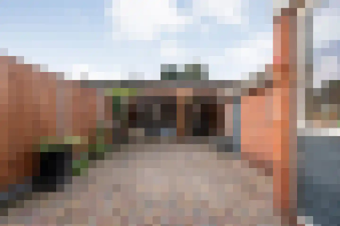 Violenstraat 20 Meppel thumbnail 42