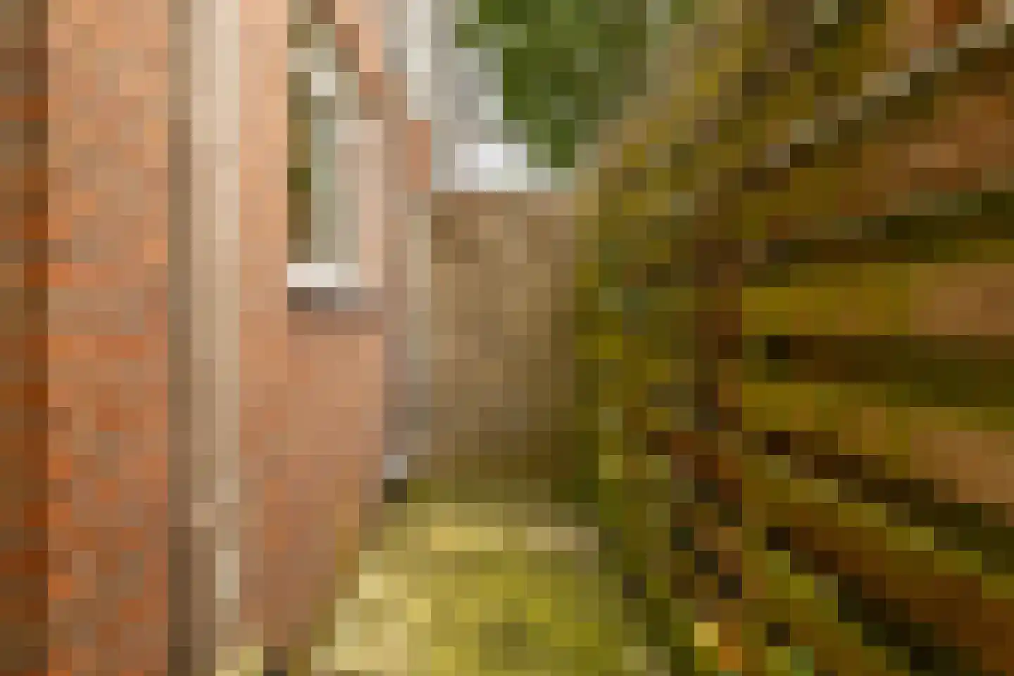 Violenstraat 21 Groningen thumbnail 23