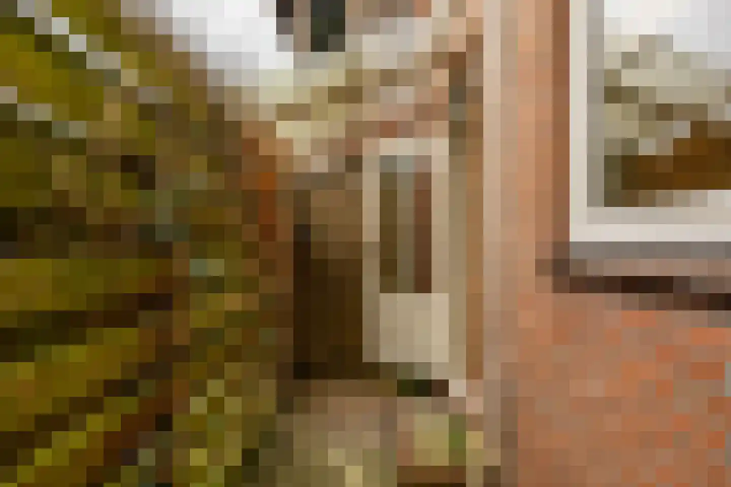 Violenstraat 21 Groningen thumbnail 24