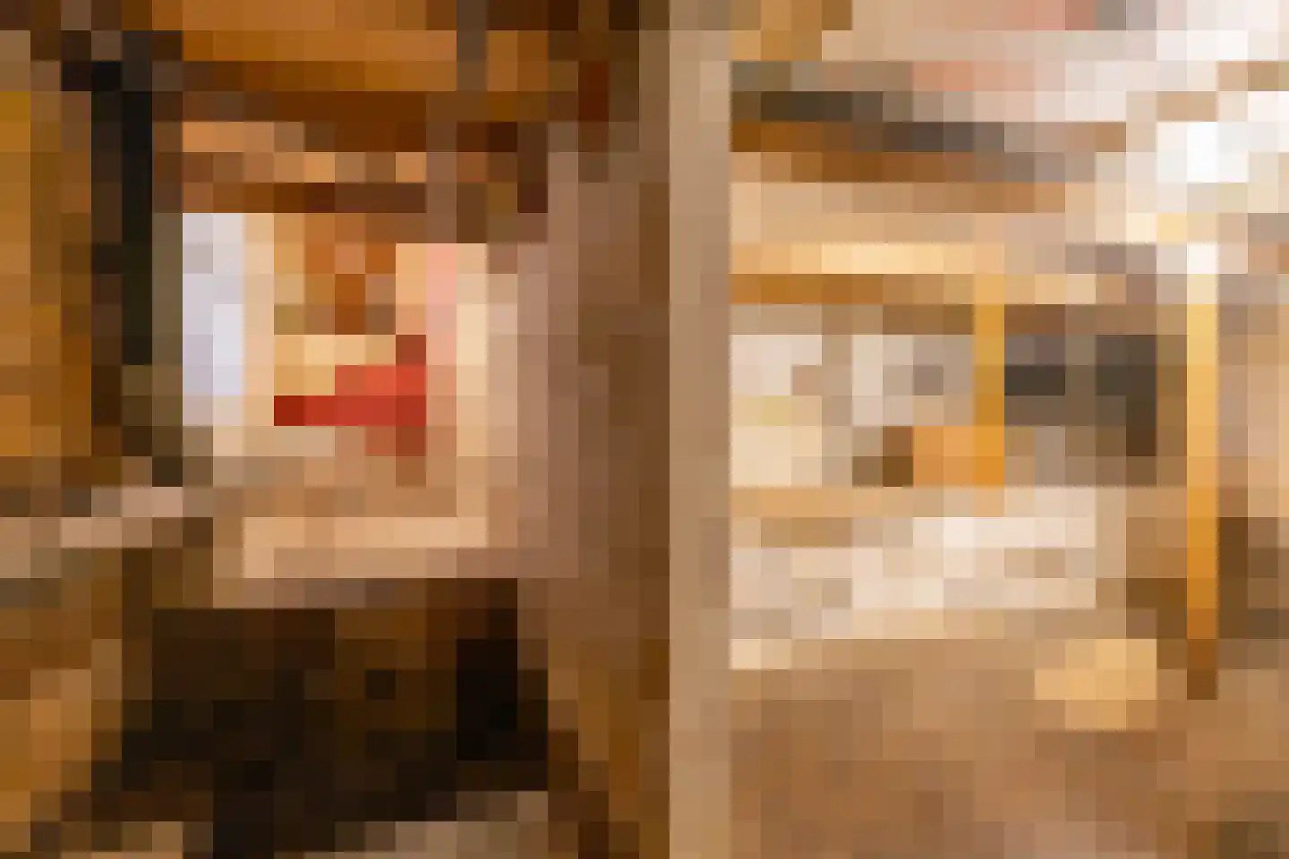 Violenstraat 21 Groningen thumbnail 25