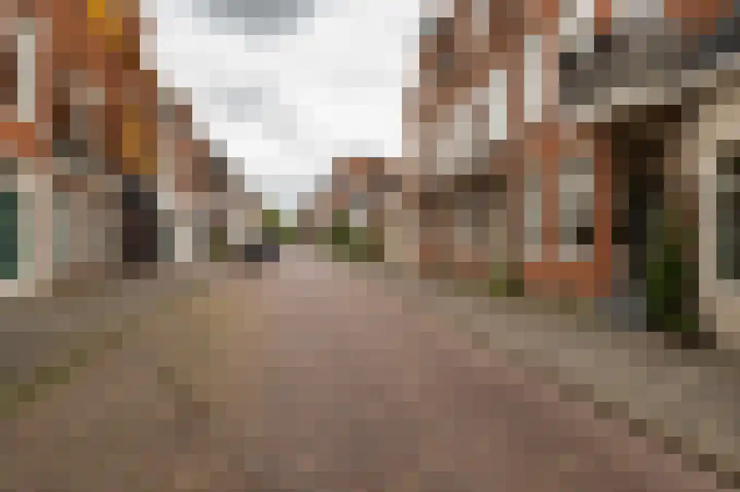 Violenstraat 21 Groningen thumbnail 26