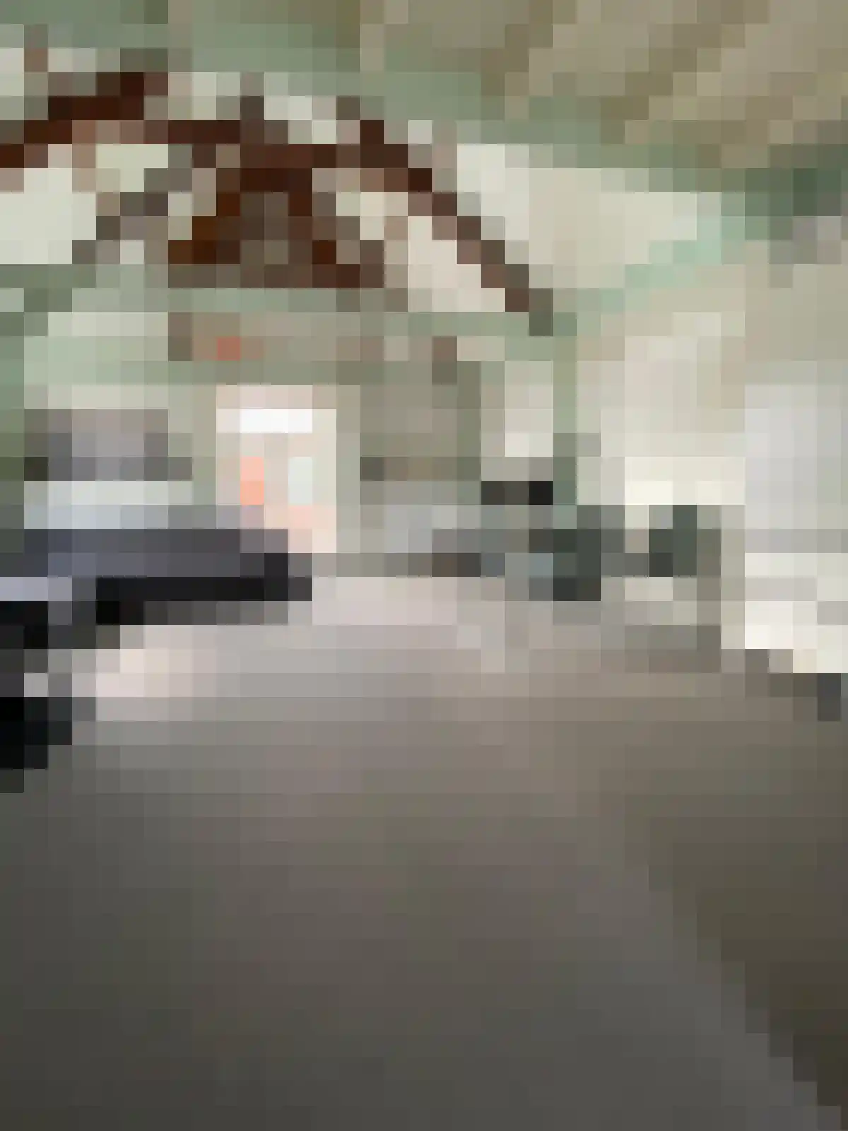 Violenstraat 21 Groningen thumbnail 4