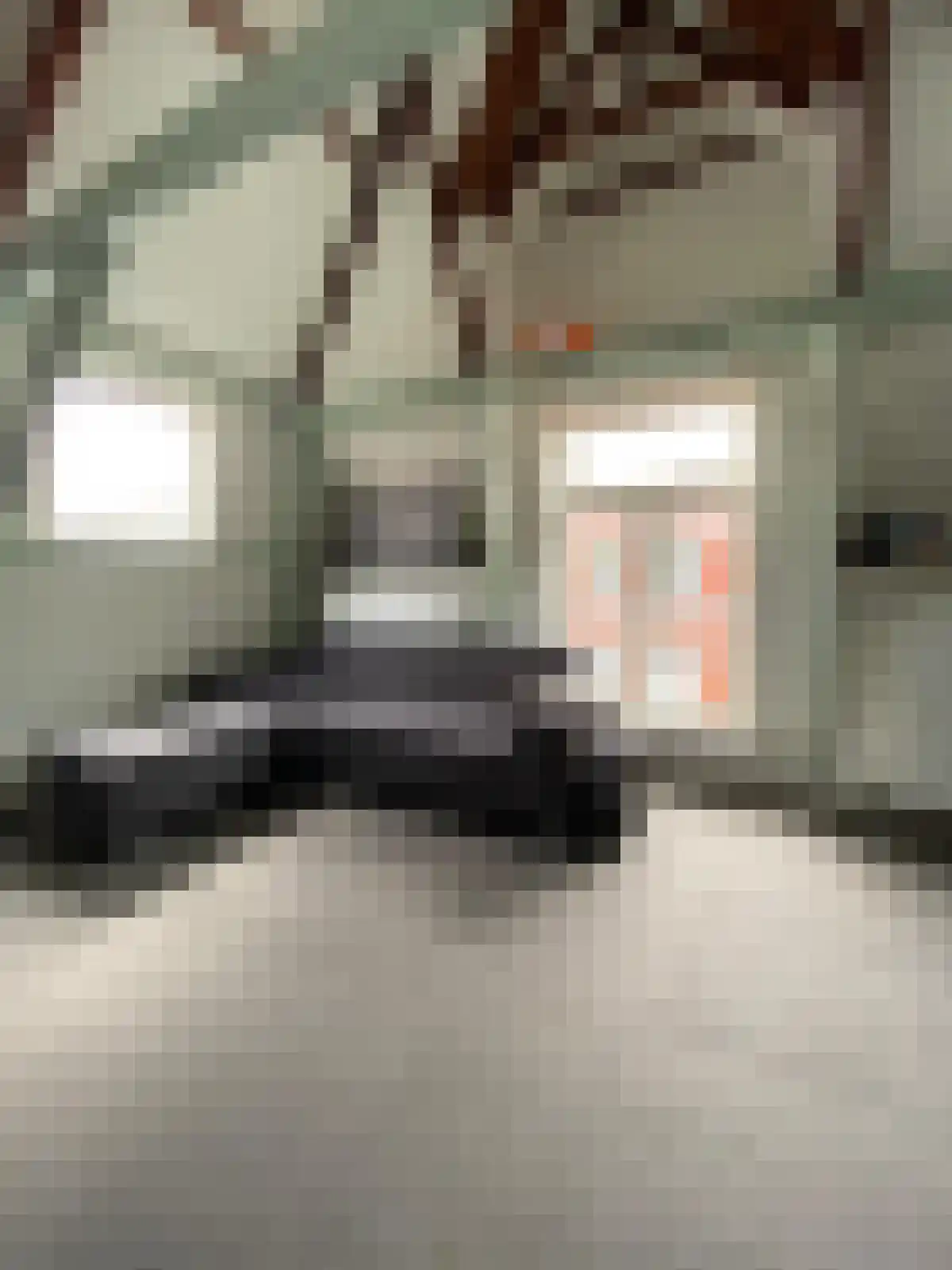 Violenstraat 21 Groningen thumbnail 6