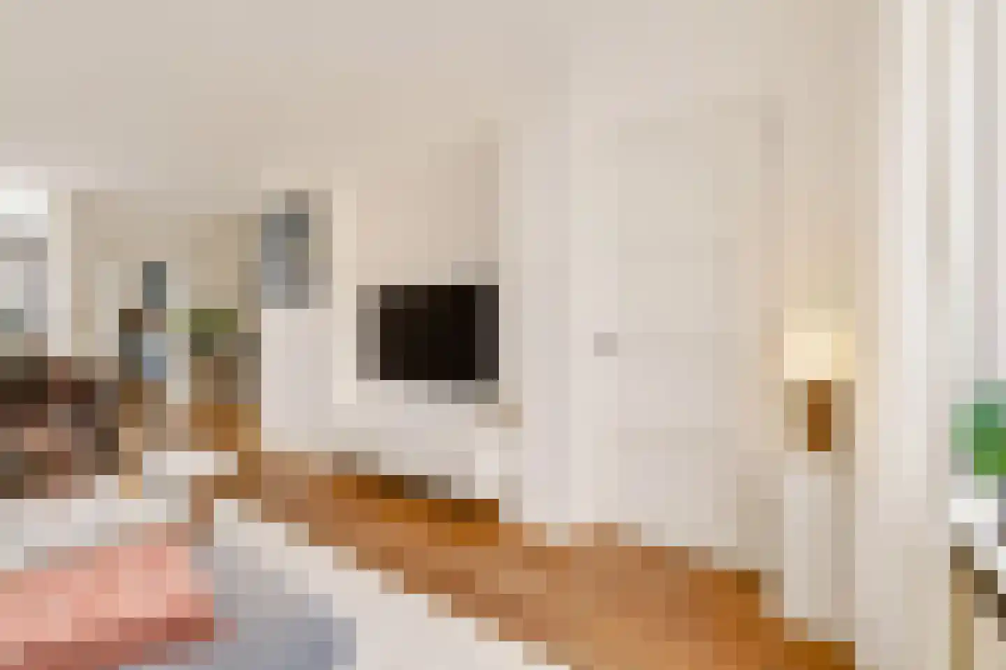 Violenstraat 21 Utrecht thumbnail 11