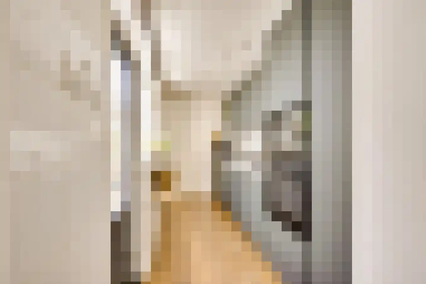 Violenstraat 21 Utrecht thumbnail 17
