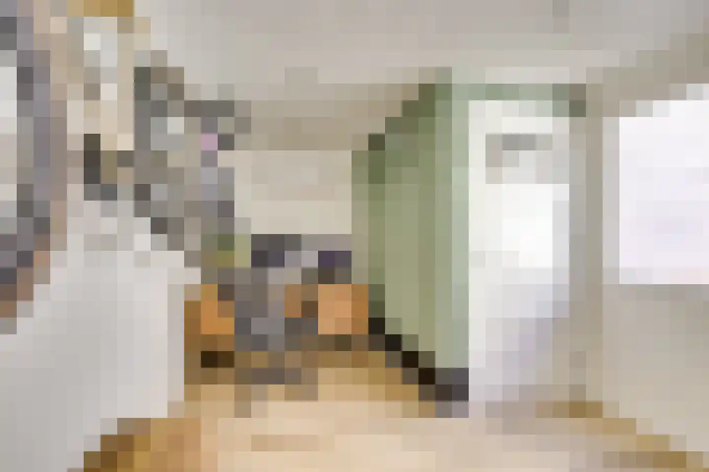 Violenstraat 21 Utrecht thumbnail 17