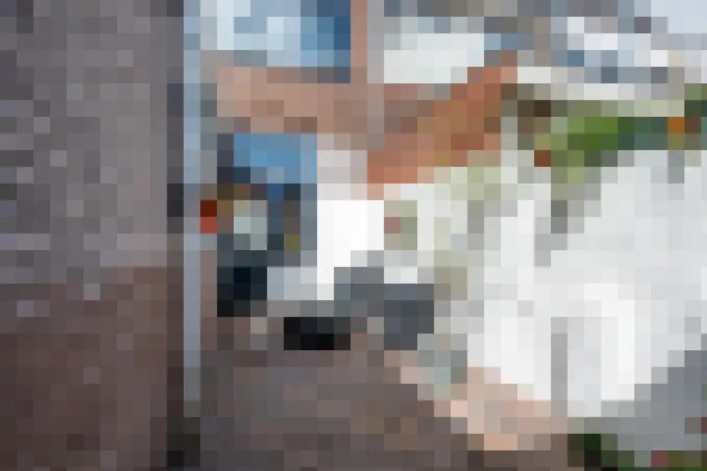Violenstraat 21 Utrecht thumbnail 20