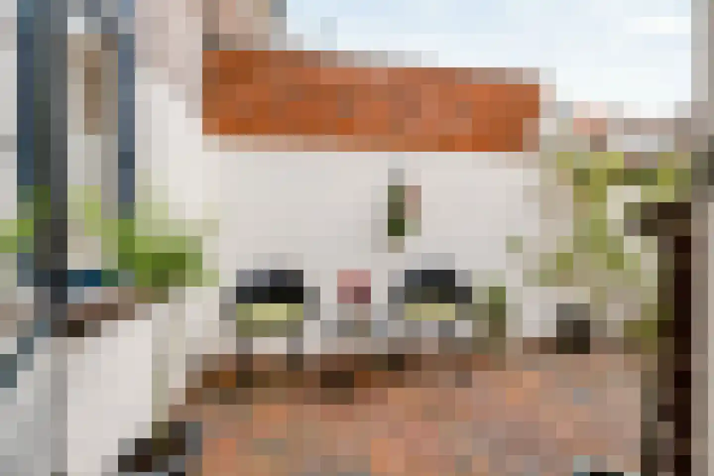 Violenstraat 21 Utrecht thumbnail 23