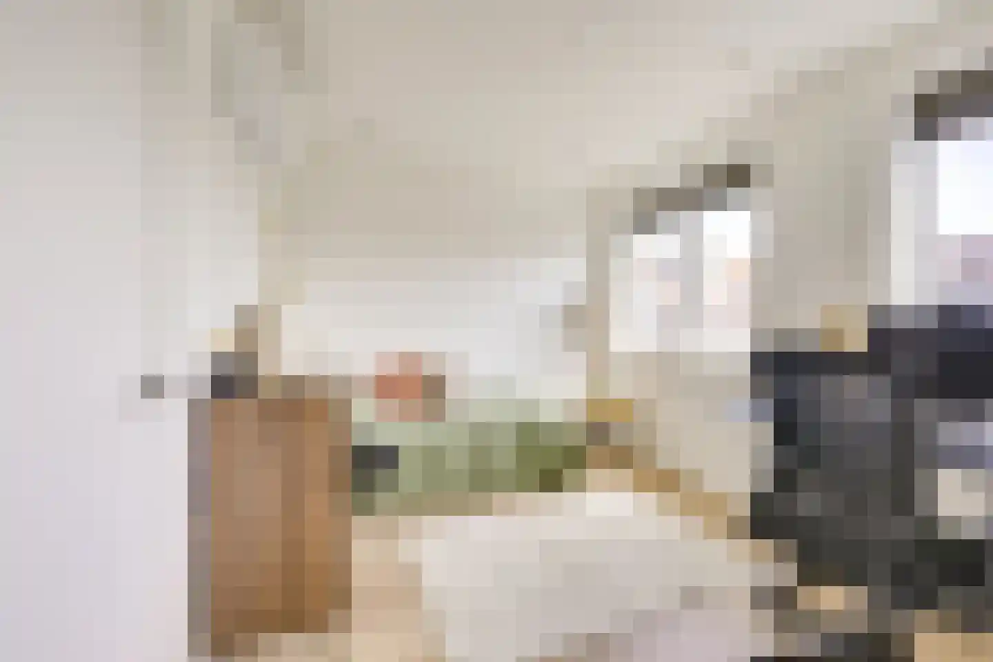 Violenstraat 21 Utrecht thumbnail 30