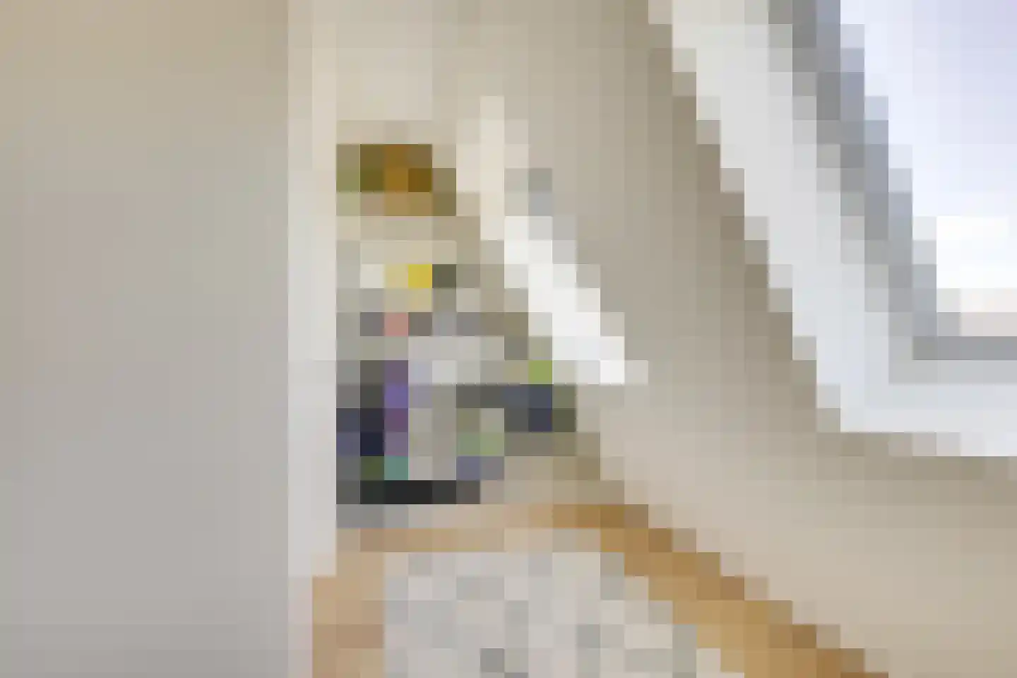Violenstraat 21 Utrecht thumbnail 34