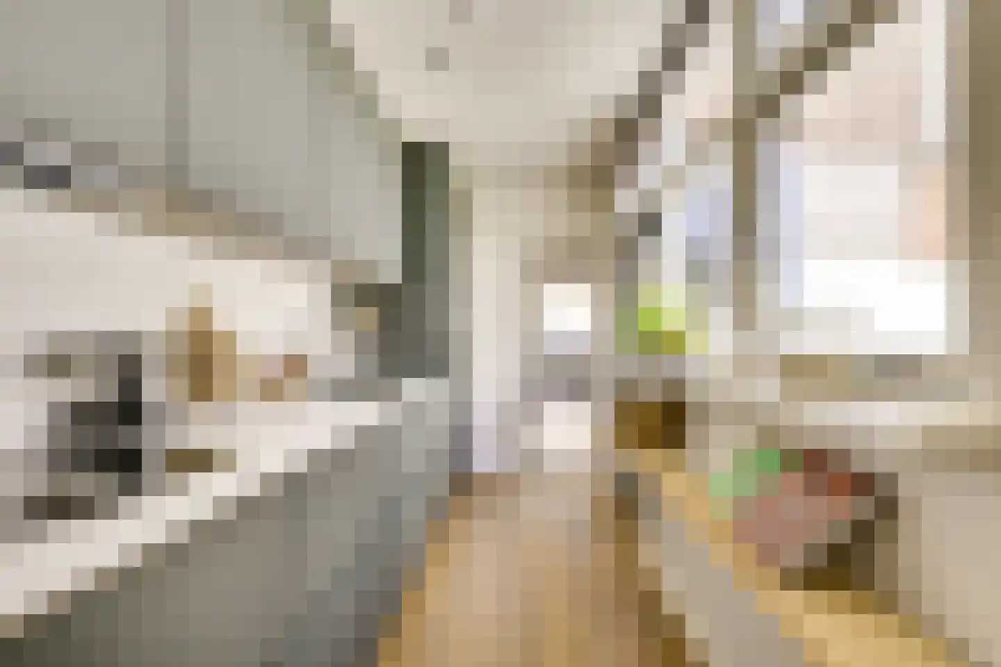 Violenstraat 21 Utrecht thumbnail 4