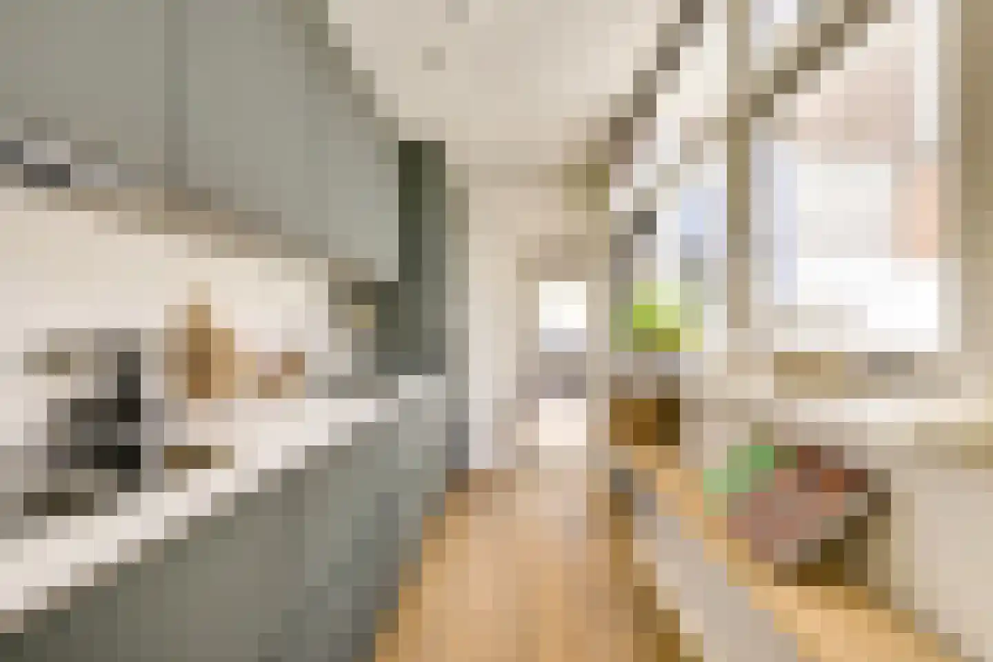 Violenstraat 21 Utrecht thumbnail 4