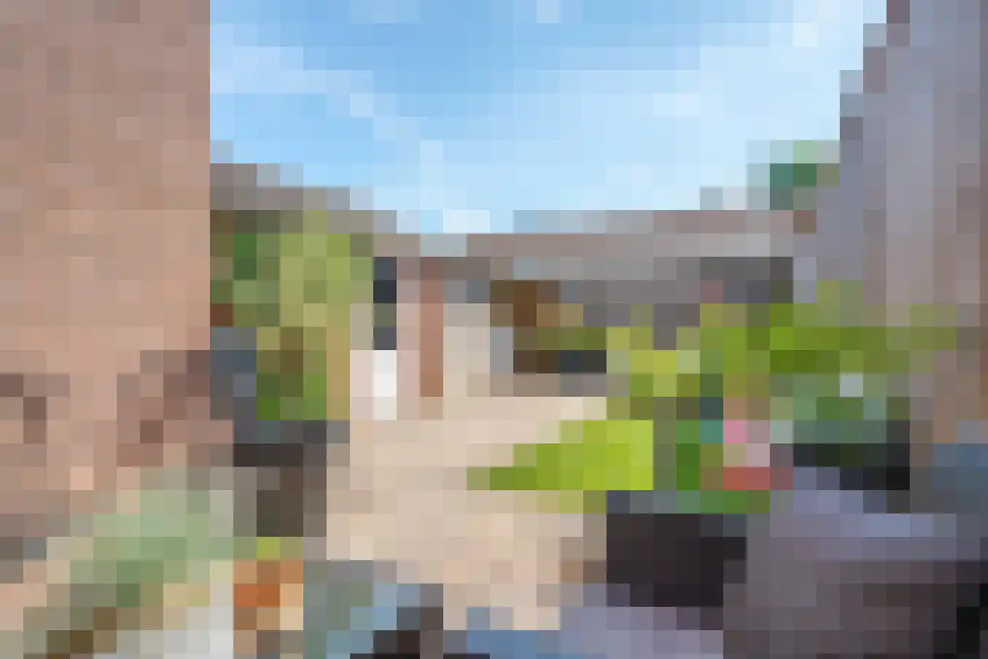 Violenstraat 22 Meppel thumbnail 20