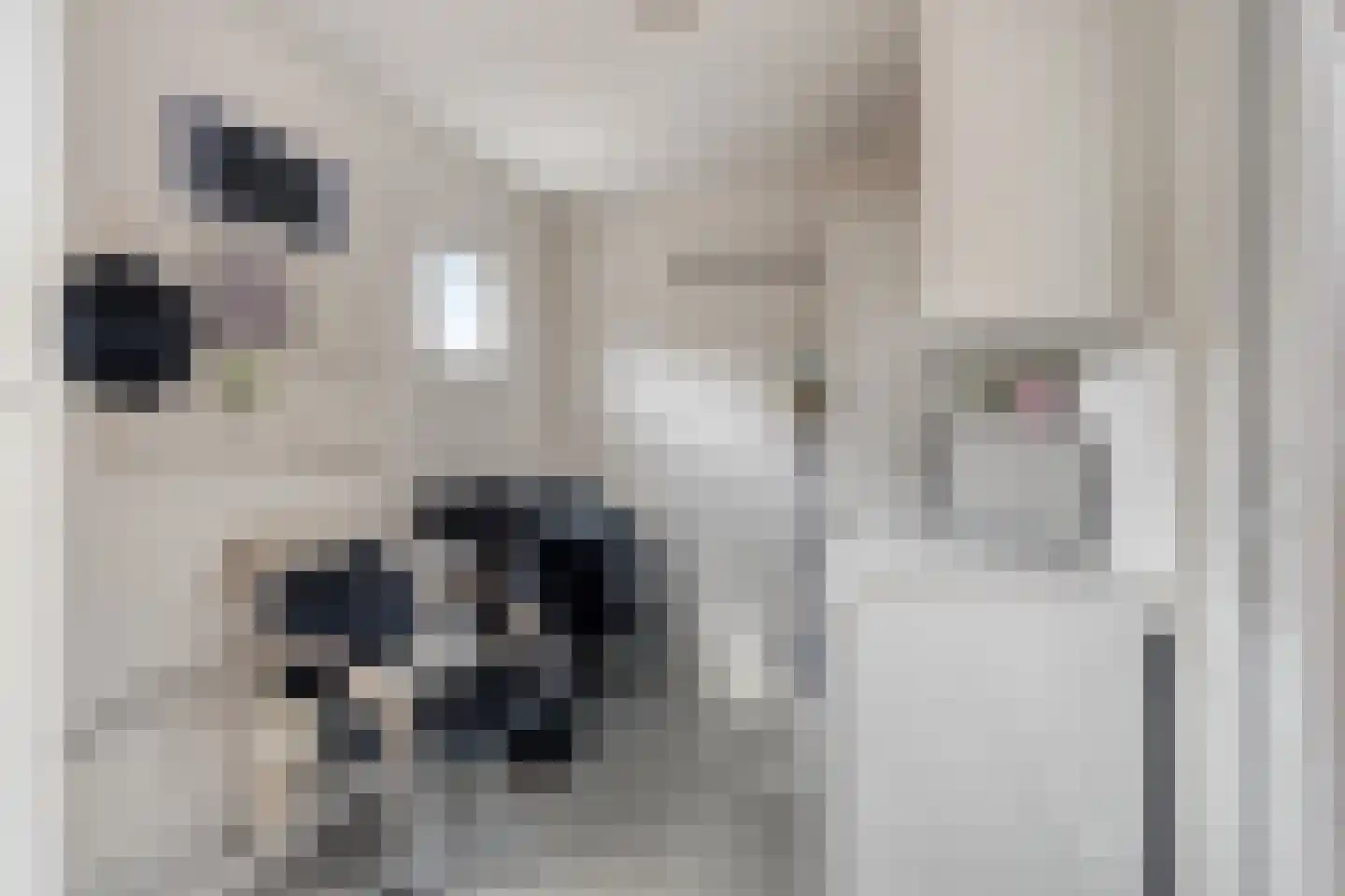 Violenstraat 22 Sappemeer thumbnail 25