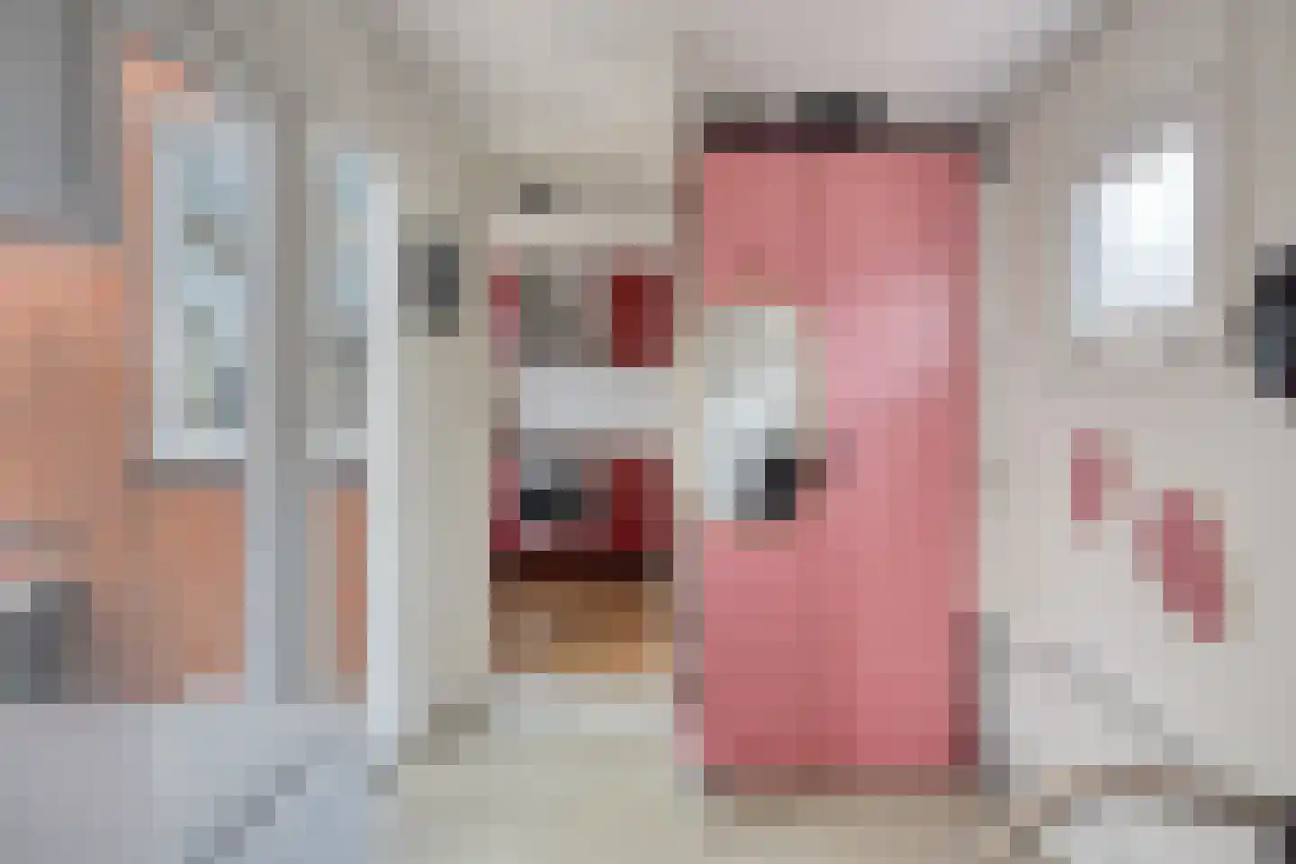 Violenstraat 22 Sappemeer thumbnail 26