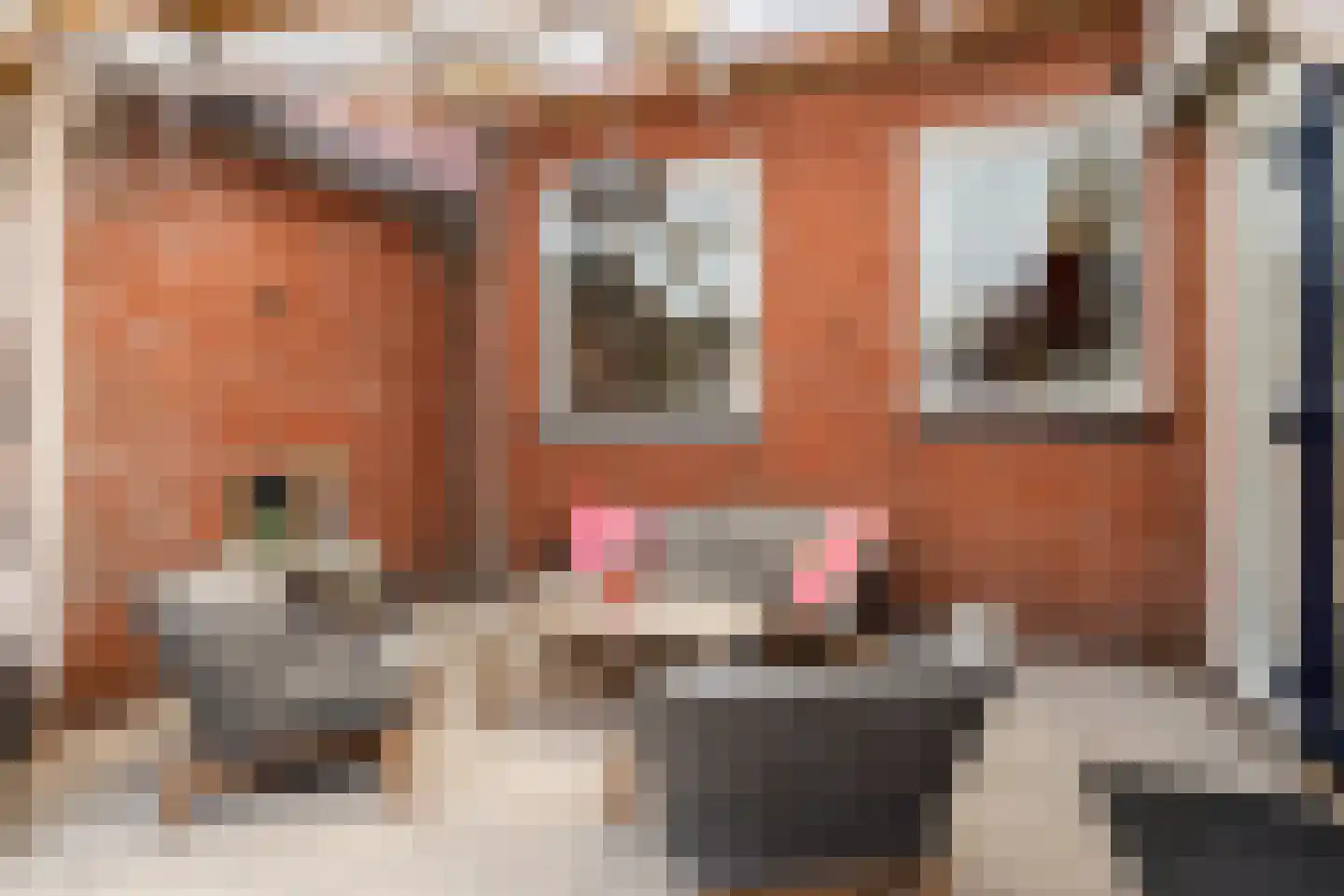Violenstraat 22 Sappemeer thumbnail 41