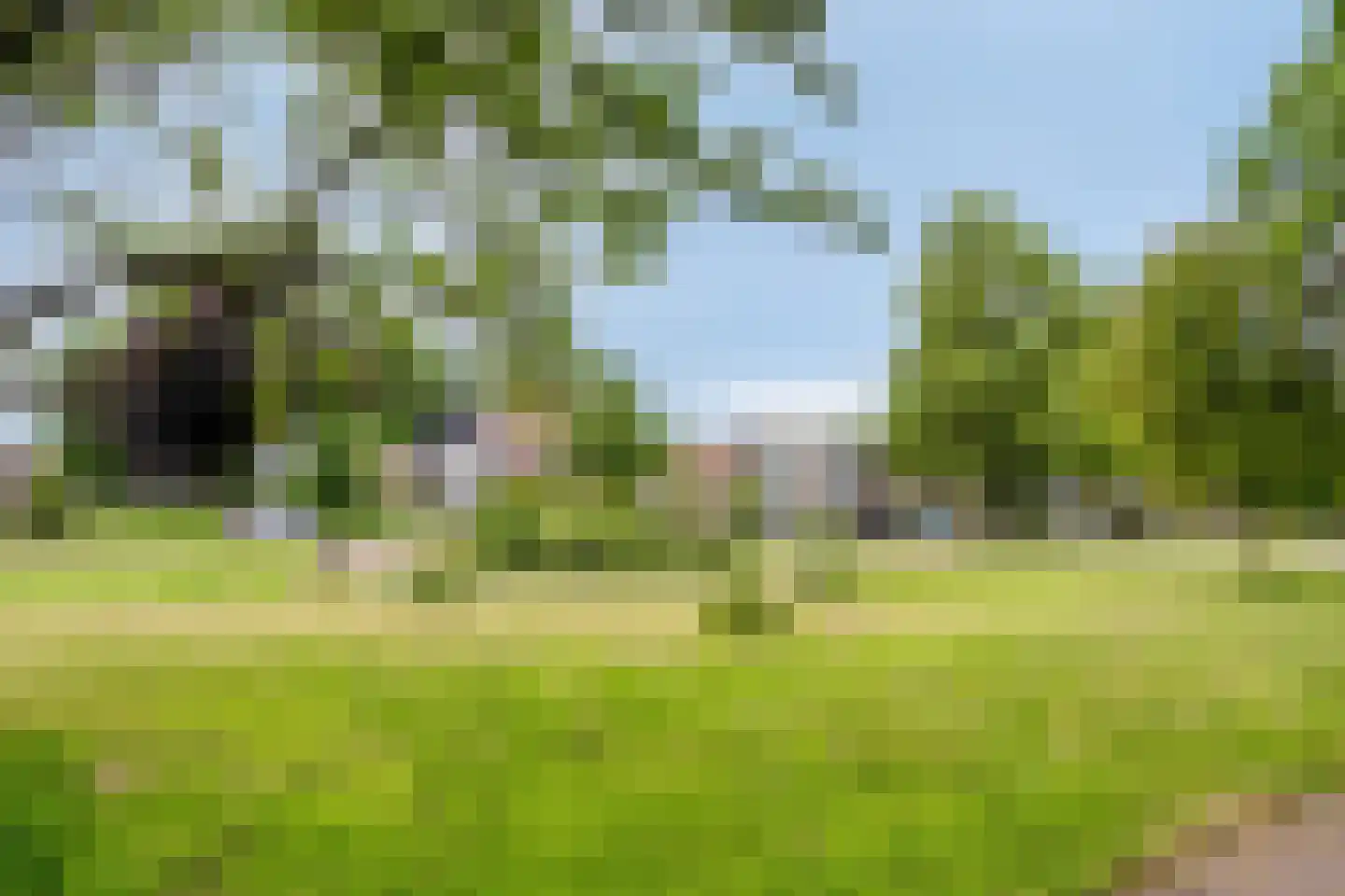 Violenstraat 22 Sappemeer thumbnail 51