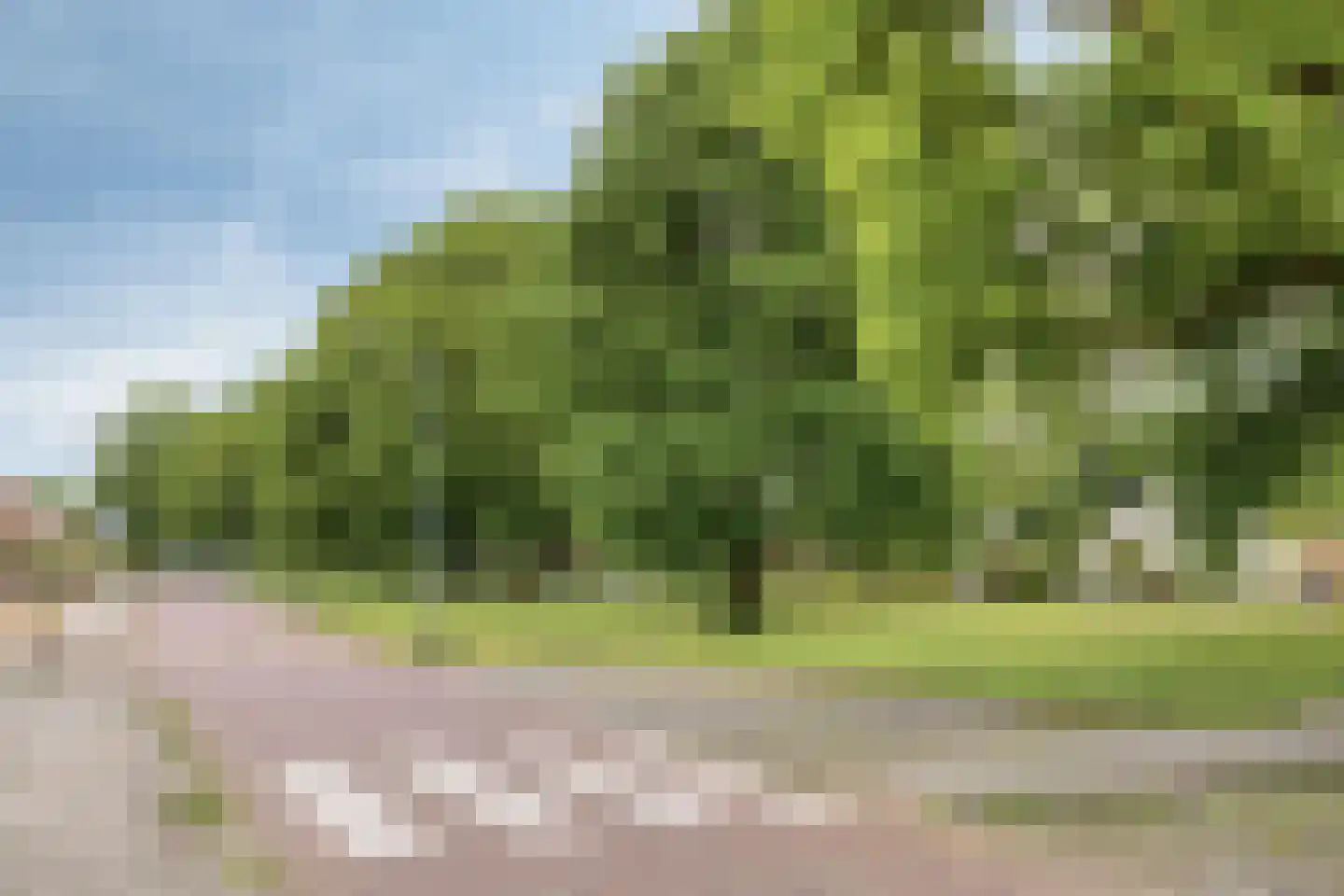 Violenstraat 22 Sappemeer thumbnail 52