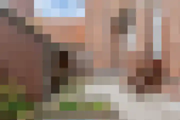 Violenstraat 23 A Rotterdam thumbnail 15