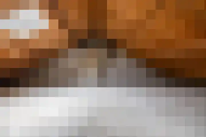 Violenstraat 23 Sappemeer thumbnail 19