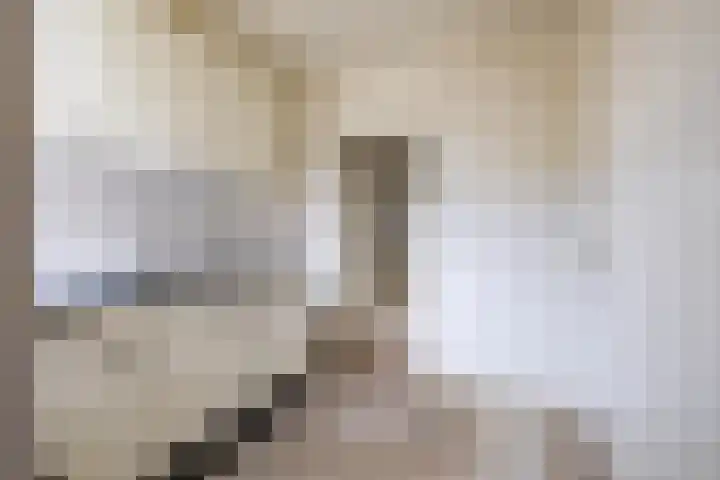 Violenstraat 23 Sappemeer thumbnail 8