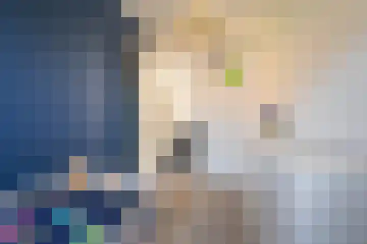Violenstraat 24 b Sappemeer thumbnail 24