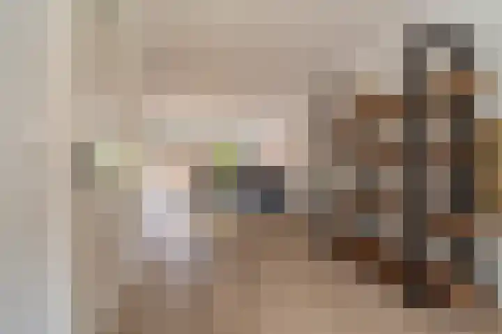 Violenstraat 24 b Sappemeer thumbnail 7