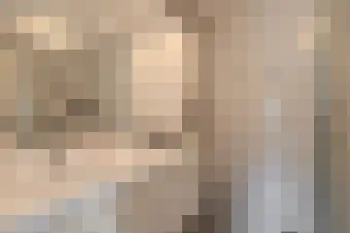 Violenstraat 24 d Sappemeer thumbnail 22