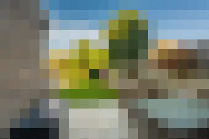 Violenstraat 24 d Sappemeer thumbnail 26